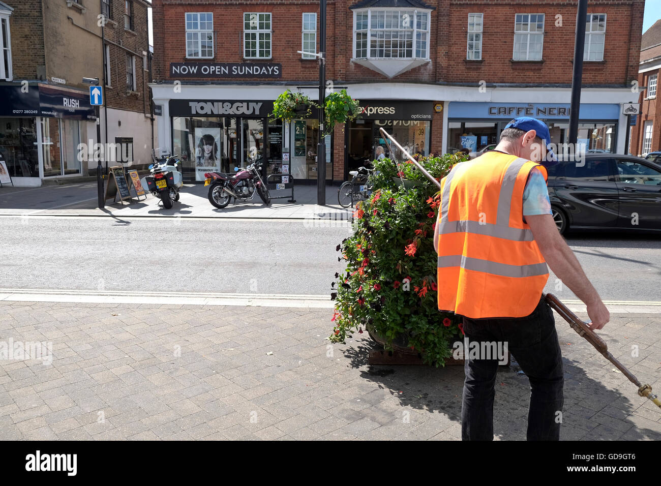 A council worker waters flowers on the High Street of Brentwood a small English town in Essex Stock Photo