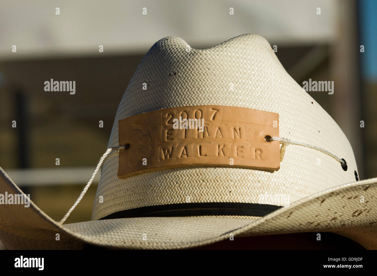 Cowboy Ethan Walker's hat, Bison Roundup, Custer State Park, Black Hills, South Dakota, USA, America Stock Photo