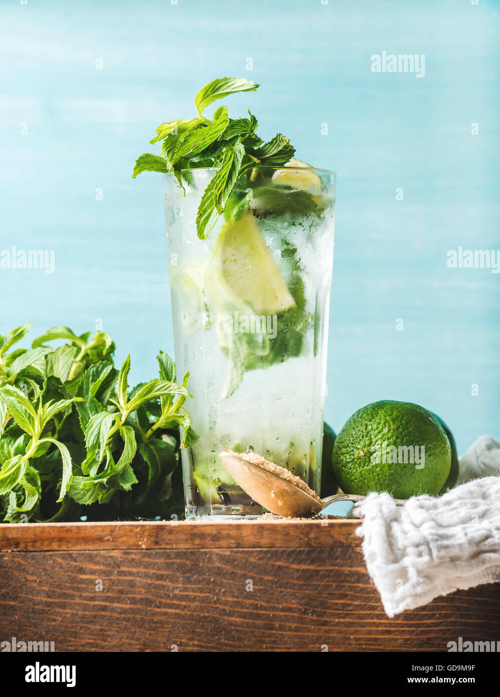 Homemade mojito hires stock photography and images Alamy