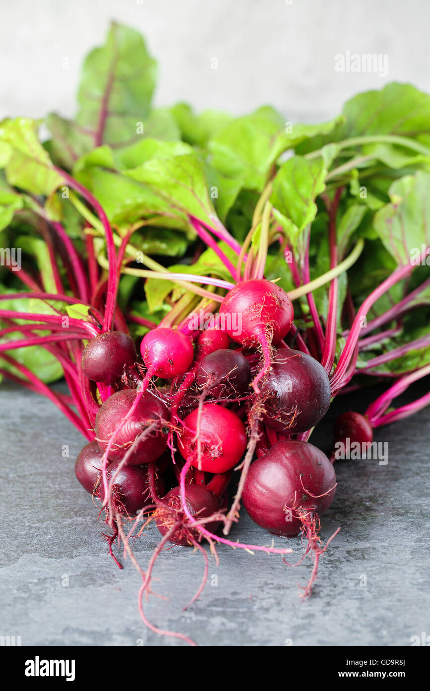 Bunch Of Beetroot Fresh from the Garden Stock Photo Alamy