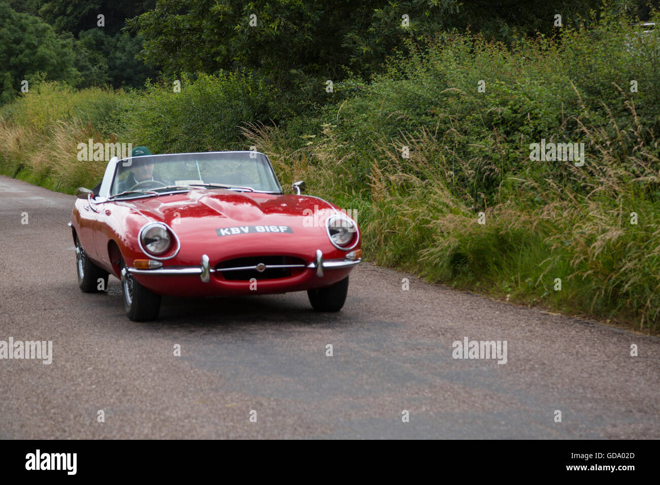 E Type Jaguar on the road to the Powderham Castle Rally in Devon Stock Photo