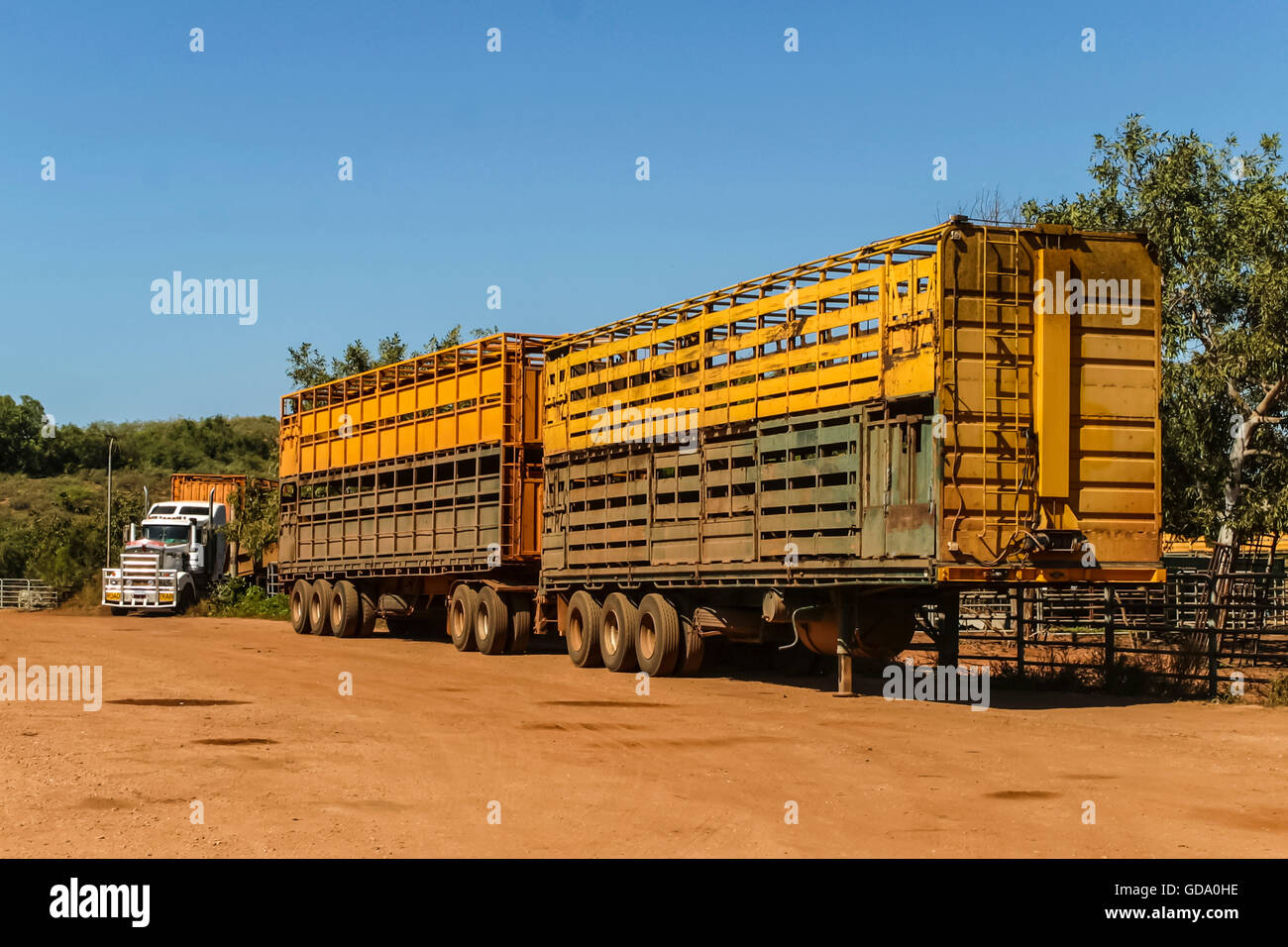 Road trains waiting for cattle to be loaded. at Broome in Western Australia Stock Photo