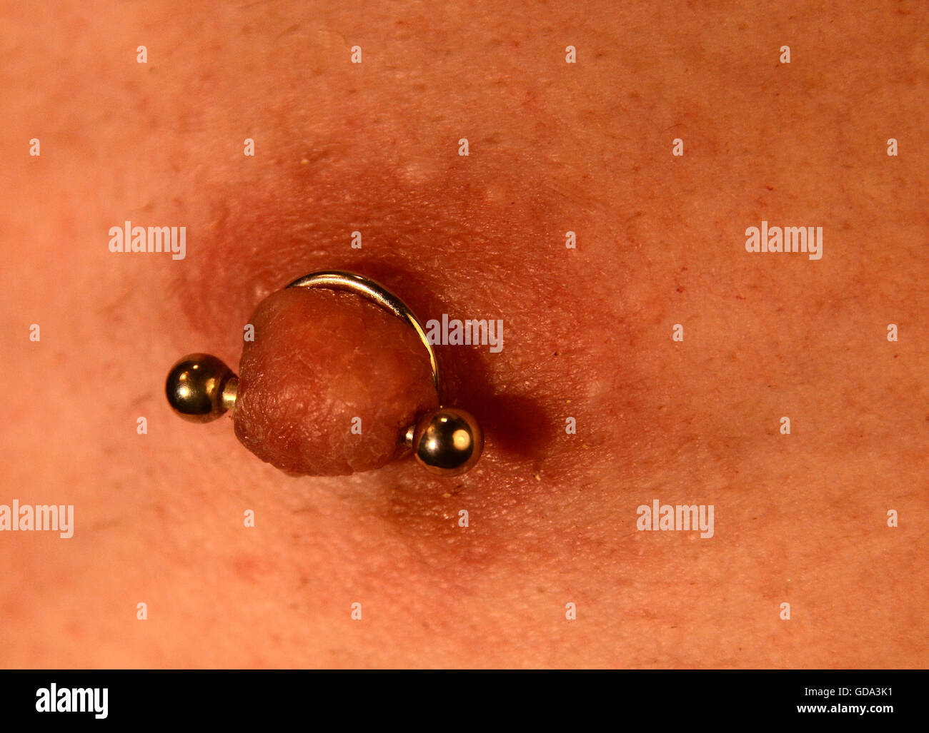 Pieced human nipple (male) with barbell and surrounding ring. Stock Photo