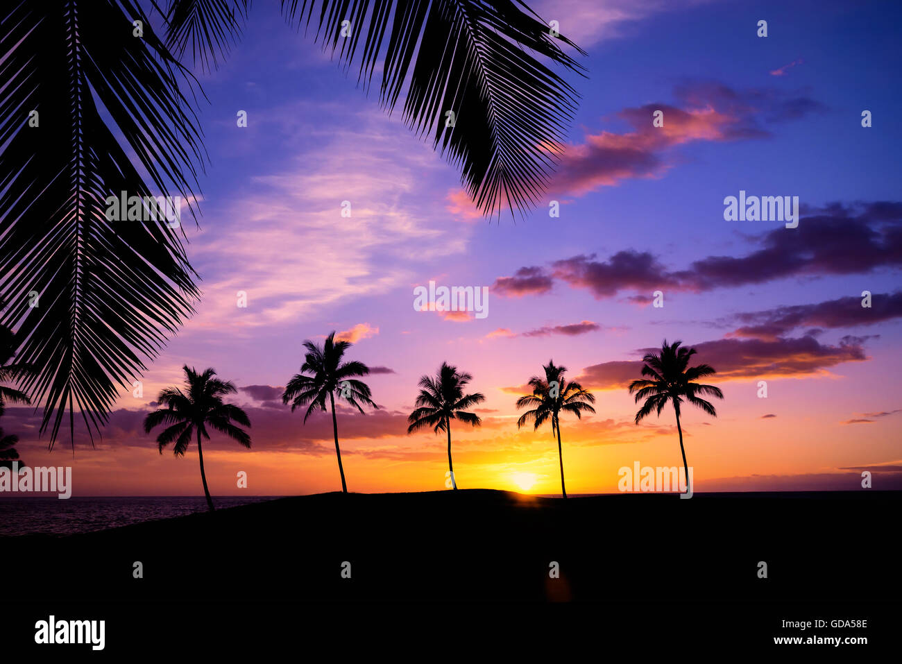 Hawaiian sunset framed with palm tree leaves Stock Photo Alamy