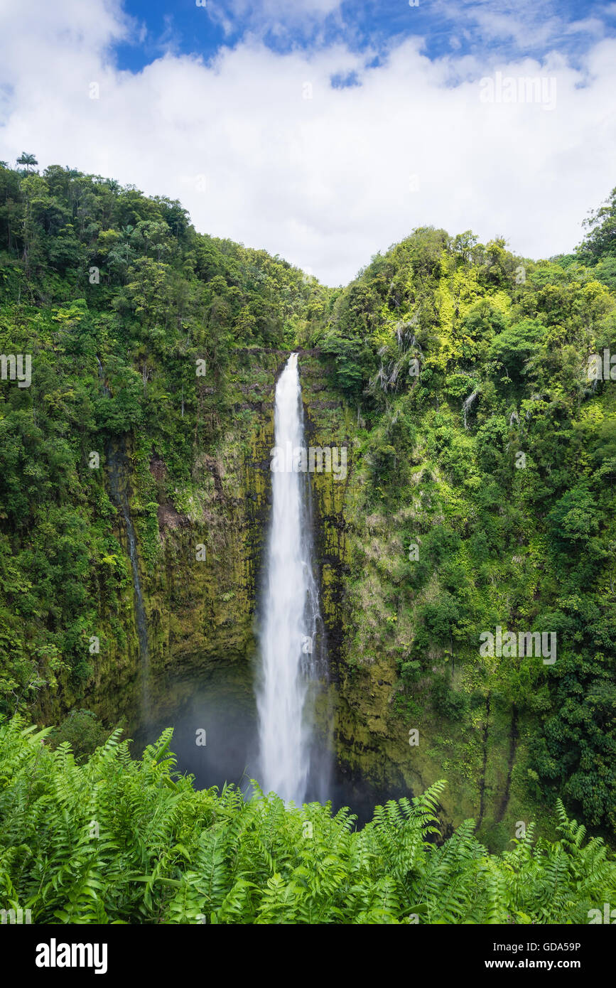 Akaka Falls on Big Island, Hawaii Stock Photo