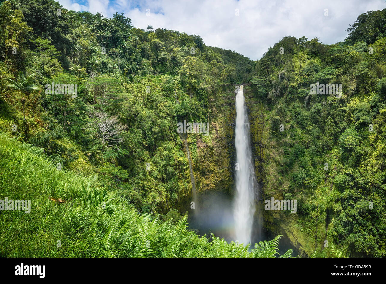 Akaka Falls on Big Island, Hawaii Stock Photo