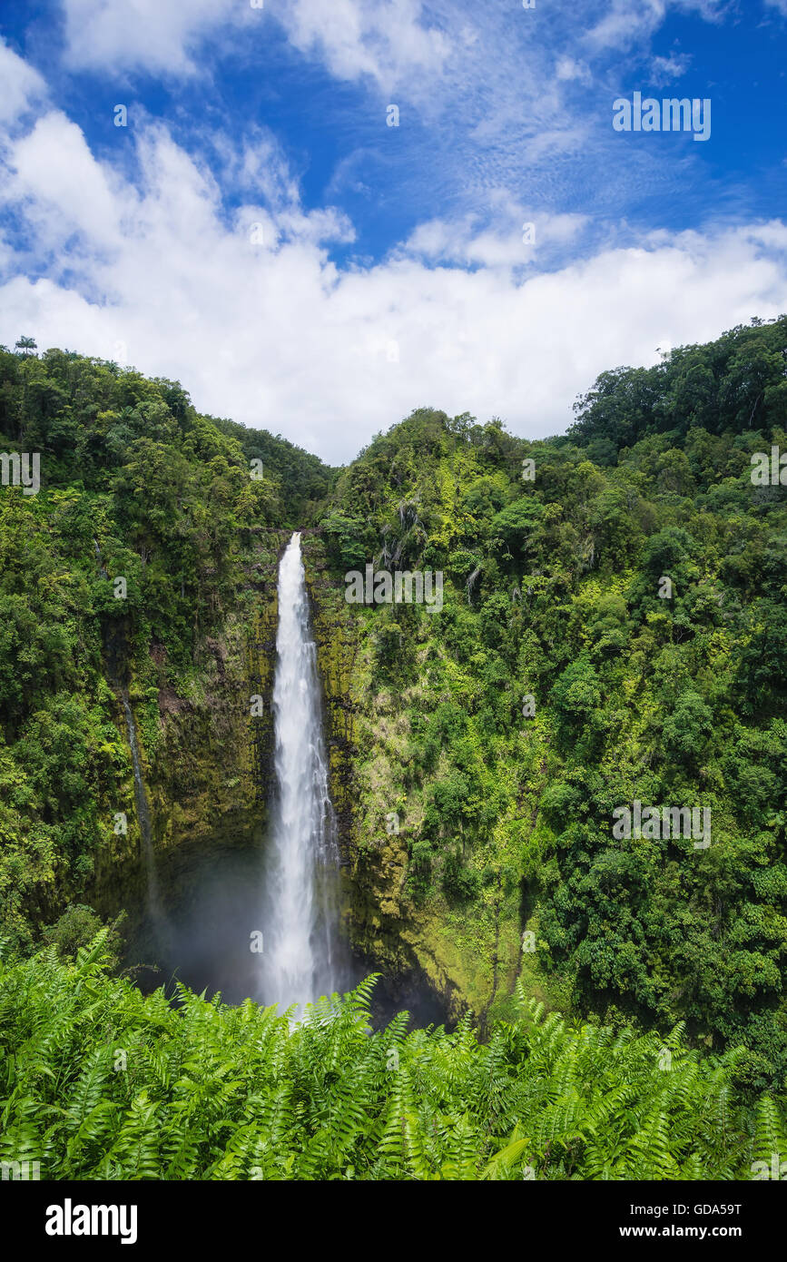 Akaka Falls on Big Island, Hawaii Stock Photo