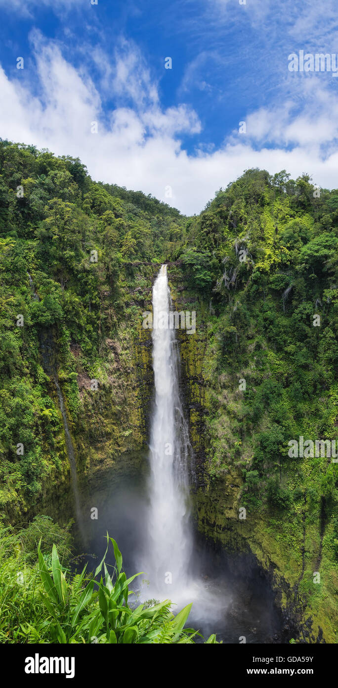 Akaka Falls on Big Island, Hawaii Stock Photo