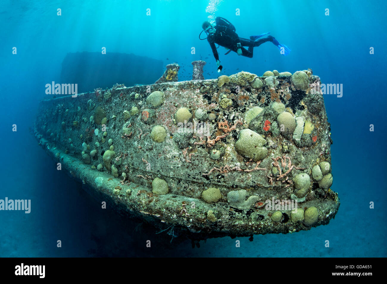 Bow of Bajan Queen Wreck, Carlisle Bay, Caribbean Sea, Barbados Stock Photo