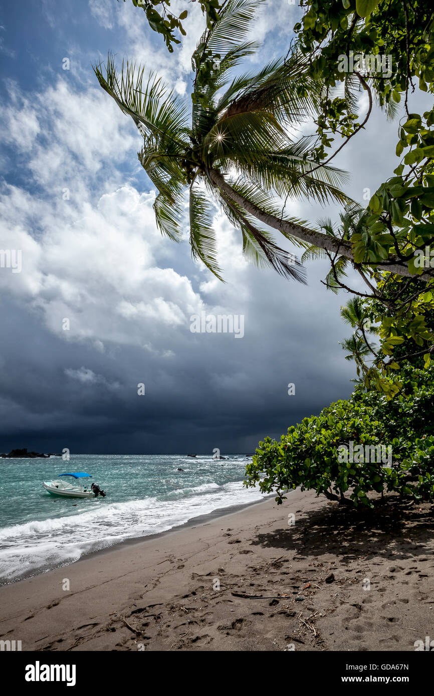 Beach at Drake Bay, Cano Island, Costa Rica Stock Photo