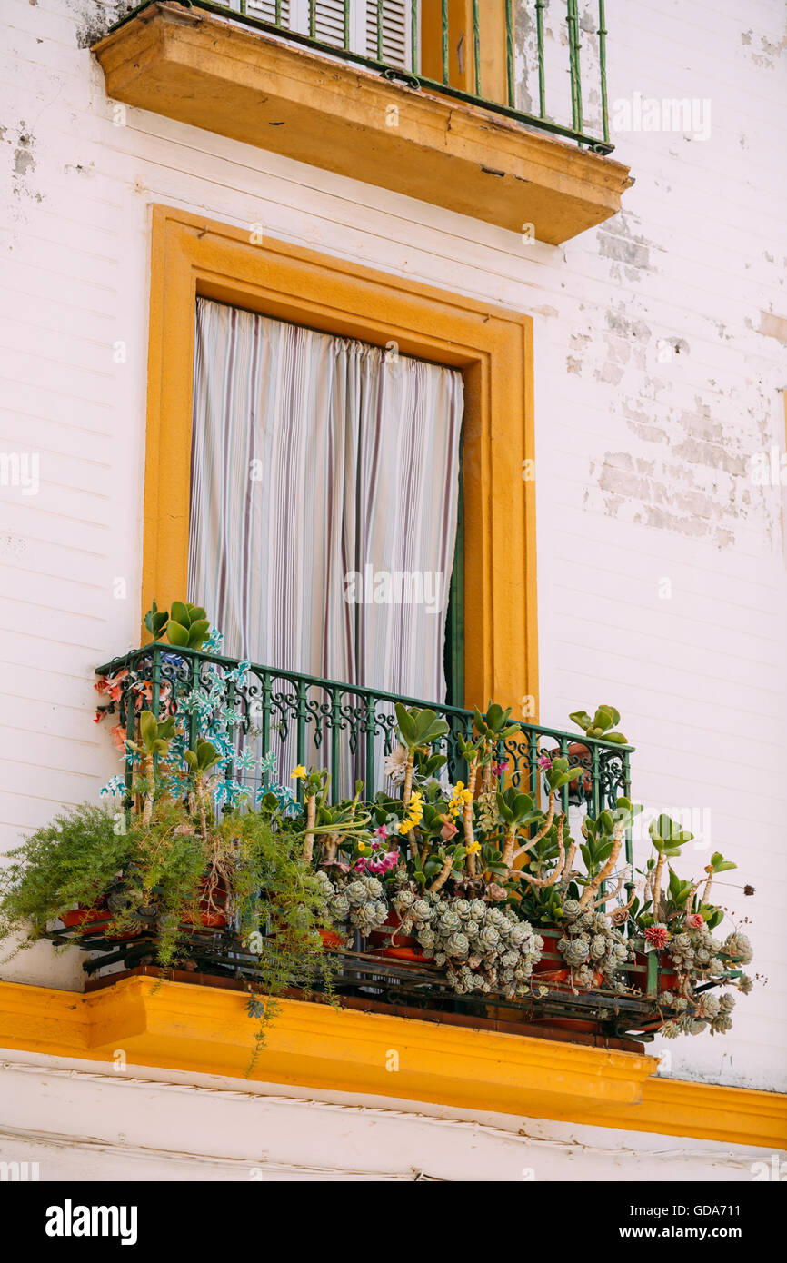 The window of an old house decorated with flowers in Seville, Spain. Stock Photo