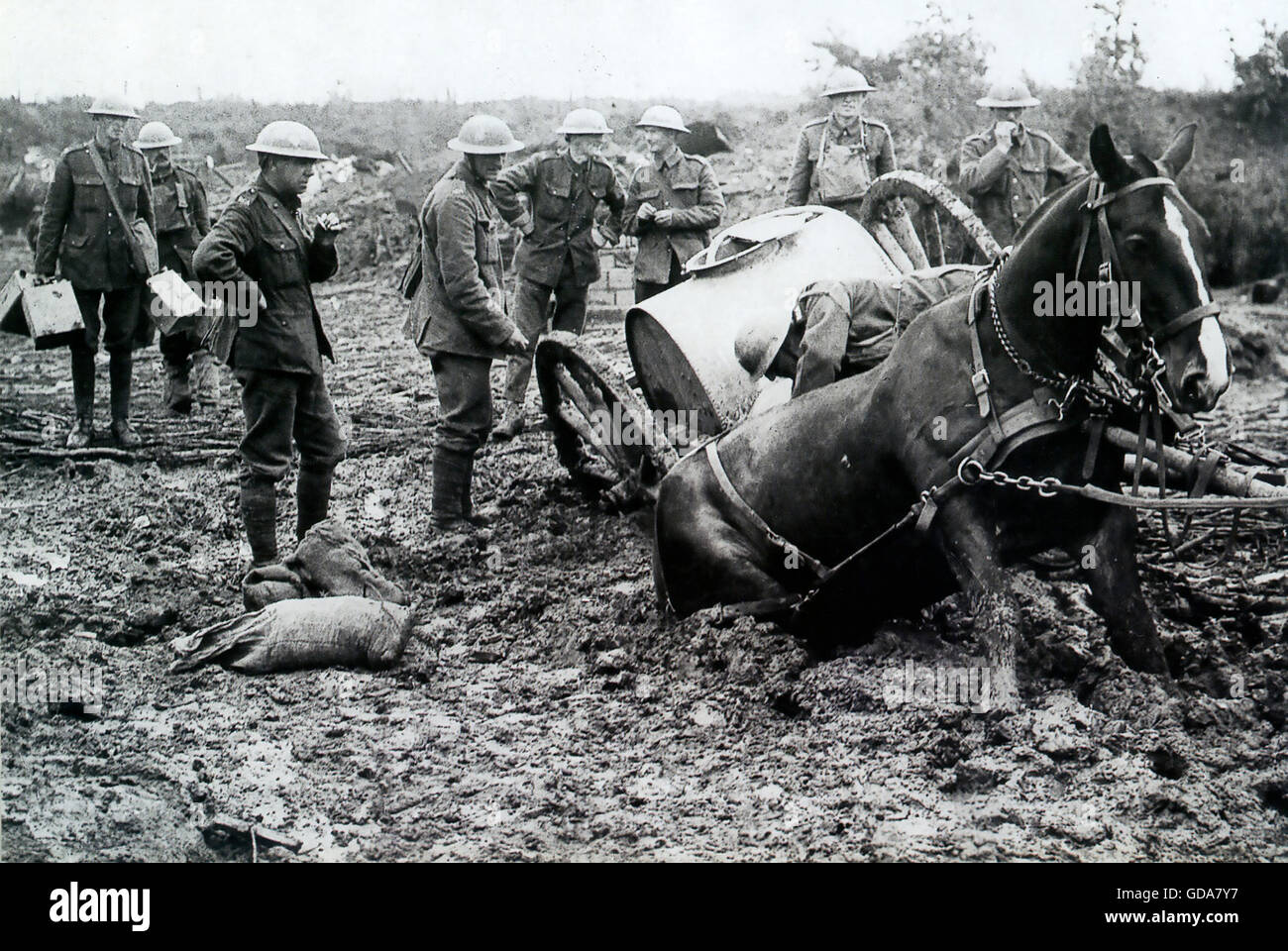 First World War British Soldiers Deciding How To Rescue A Horse-drawn 