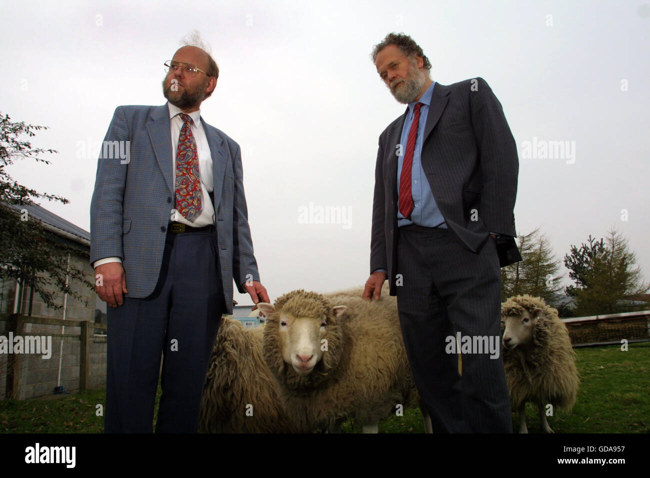 Dr Ian Wilmut (left) and Dr Harry Griffin, two of the scientists behind the development of Dolly (pictured), the first genetically copied sheep, at Roslin Institute near Edinburgh where they work. Dolly was a female domestic sheep, and the first mammal cloned from an adult somatic cell, using the process of nuclear transfer. The photographs taken by Colin McPherson this day were the last before Dolly was euthanised  on 14 February 2003 because she had a progressive lung disease and severe arthritis. Stock Photo