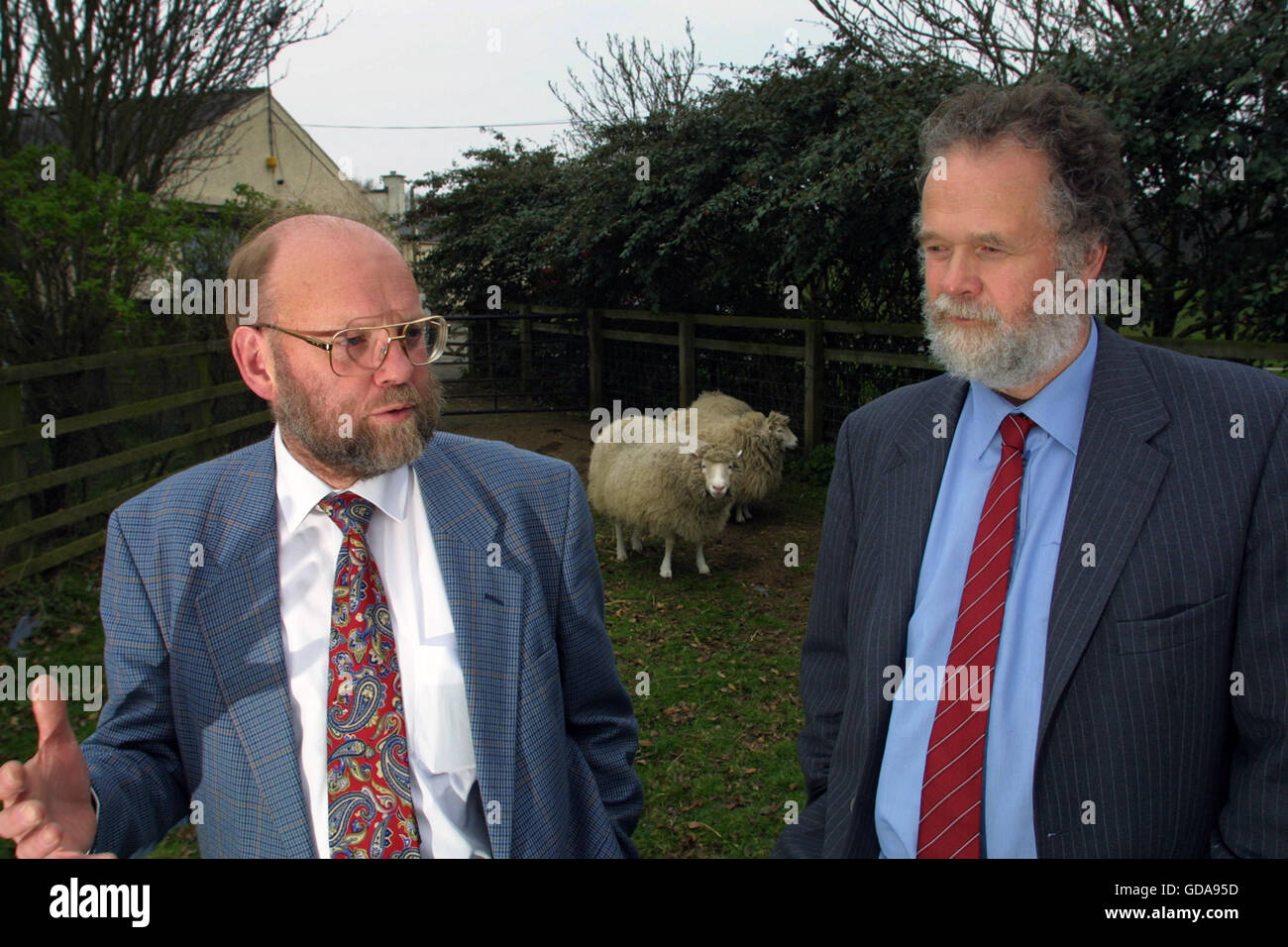 Dr Ian Wilmut (left) and Dr Harry Griffin, two of the scientists behind the development of Dolly (pictured), the first genetically copied sheep, at Roslin Institute near Edinburgh where they work. Dolly was a female domestic sheep, and the first mammal cloned from an adult somatic cell, using the process of nuclear transfer. The photographs taken by Colin McPherson this day were the last before Dolly was euthanised  on 14 February 2003 because she had a progressive lung disease and severe arthritis. Stock Photo