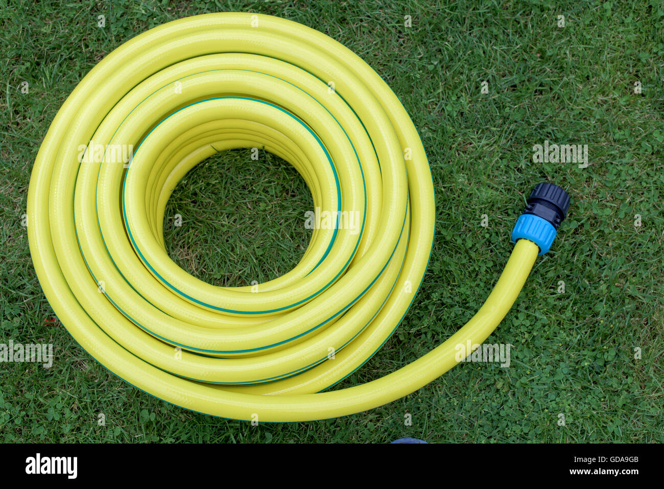 Yellow hose-pipe in a green grass Stock Photo