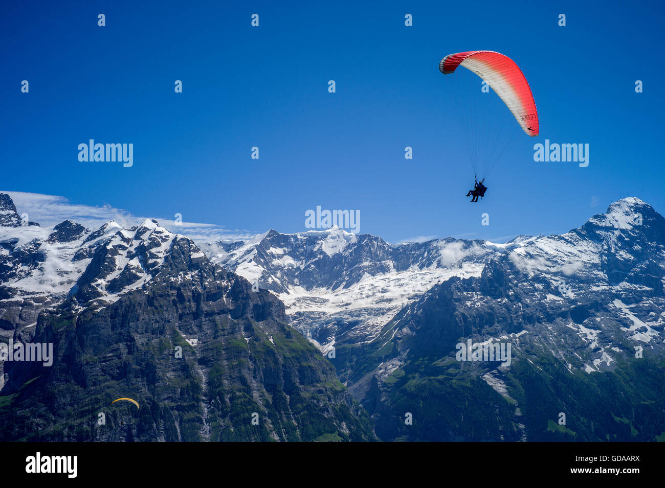 Switzerland. Bernese Oberland. July 2016 Hang Gliding from FIRST above Grindelwald  in the Swiss Alps in the Bernese Oberland Stock Photo