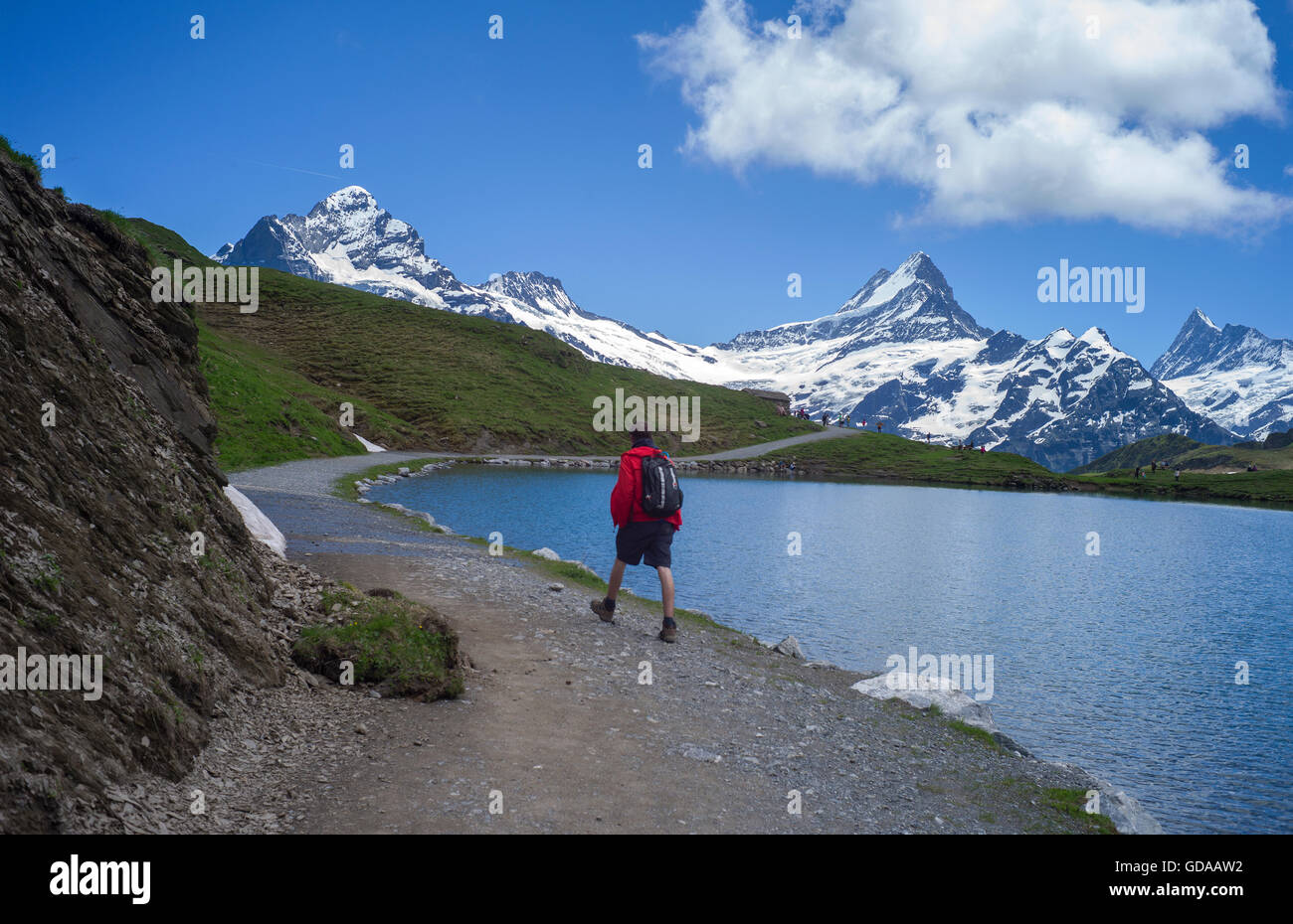 Switzerland. Bernese Oberland. July 2016Walking from FIRST above Grindelwald  in the Swiss Alps to Lake Bachalpsee Stock Photo