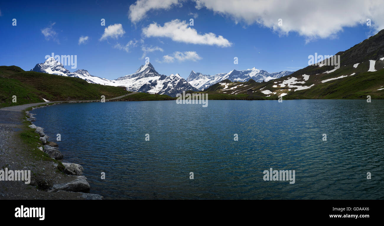 Switzerland. Bernese Oberland. July 2016, Walking from FIRST  in the Swiss Alps to Lake Bachalpsee,Wetterhorn, Schreckhorn, Stock Photo