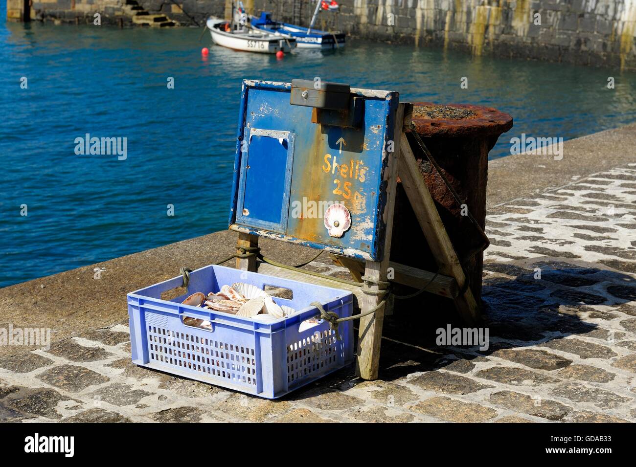 Sea shells being sold via a honesty box in Mullion harbour Cornwall England UK Stock Photo
