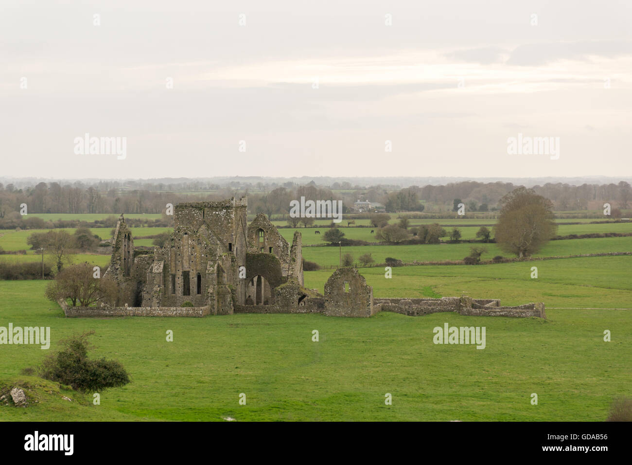 Ireland, Tipperary, monastery ruins in green nature, Hore Abbey in Cashel, South Tipperary Stock Photo