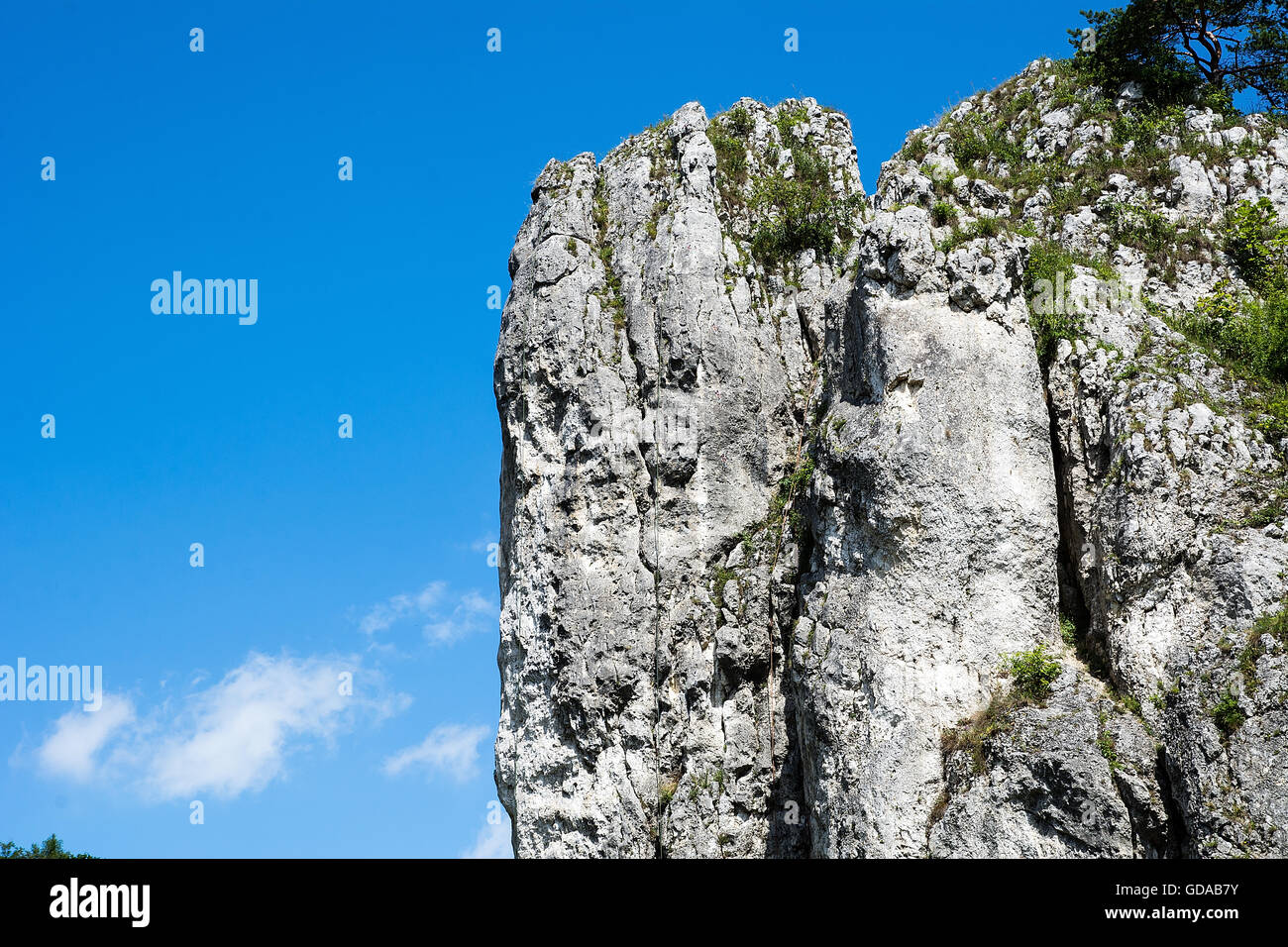 Limestone rocks in Bolechowicka Valley in Poland Stock Photo - Alamy