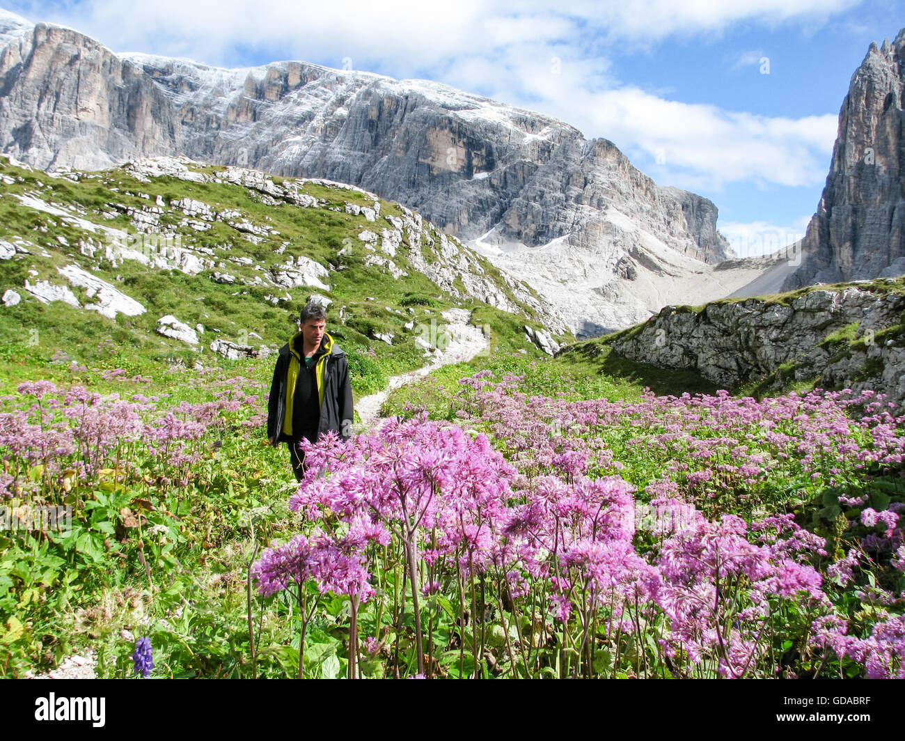 Italy, Trentino-Alto Adige, Sextener Dolomites, tour of Büllelejoch to Oberbachernspitze, man walking, Büllelejoch in the background Stock Photo