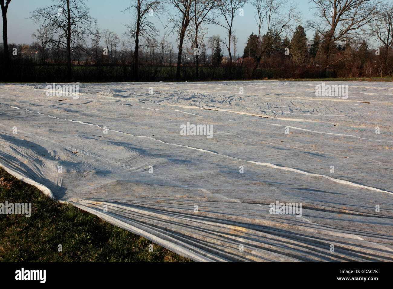 Plastic sheeting over crops hires stock photography and images Alamy