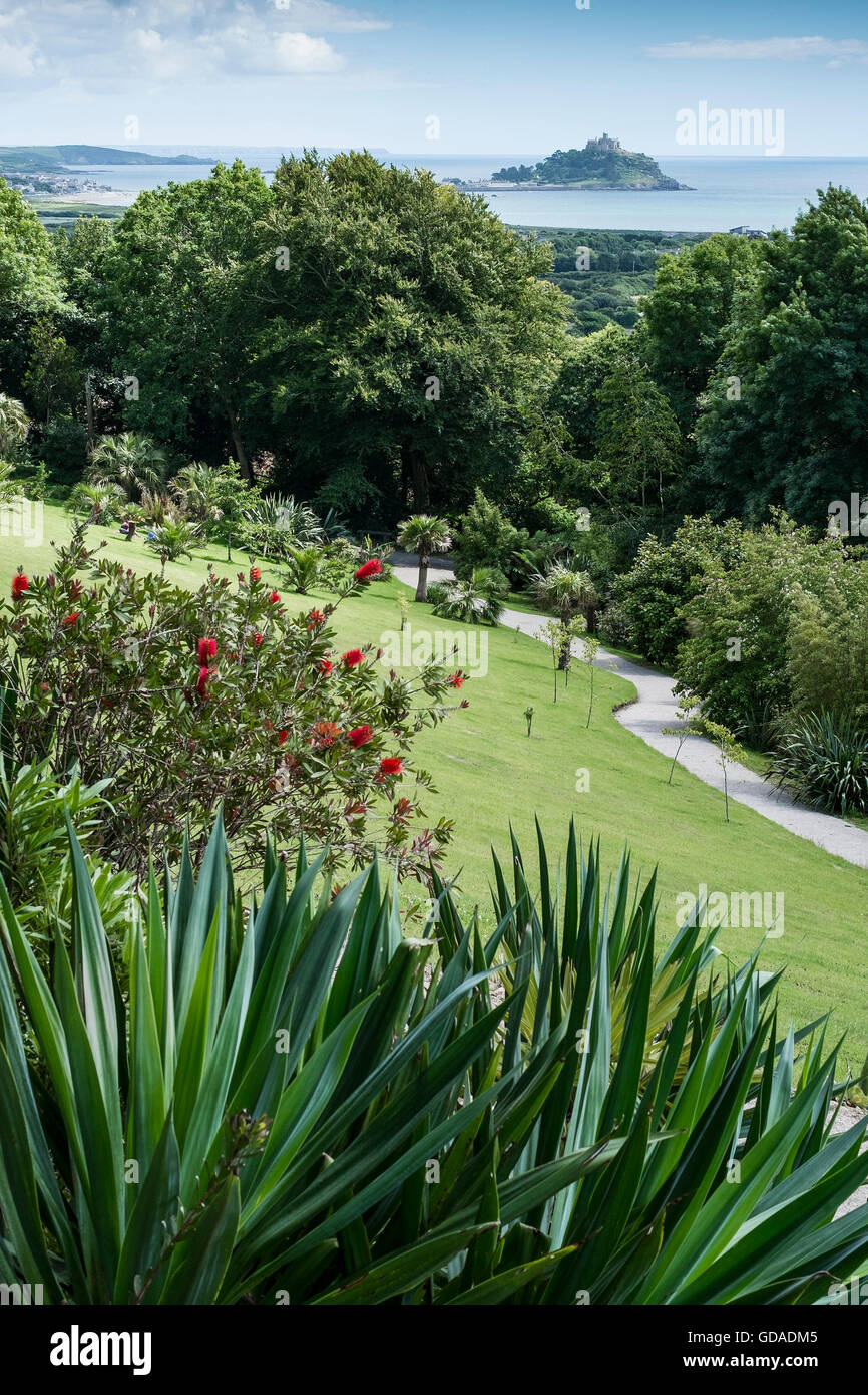 A spectacular view of St Michaels Mount from Tremenheere Sculpture Gardens in Cornwall. Stock Photo