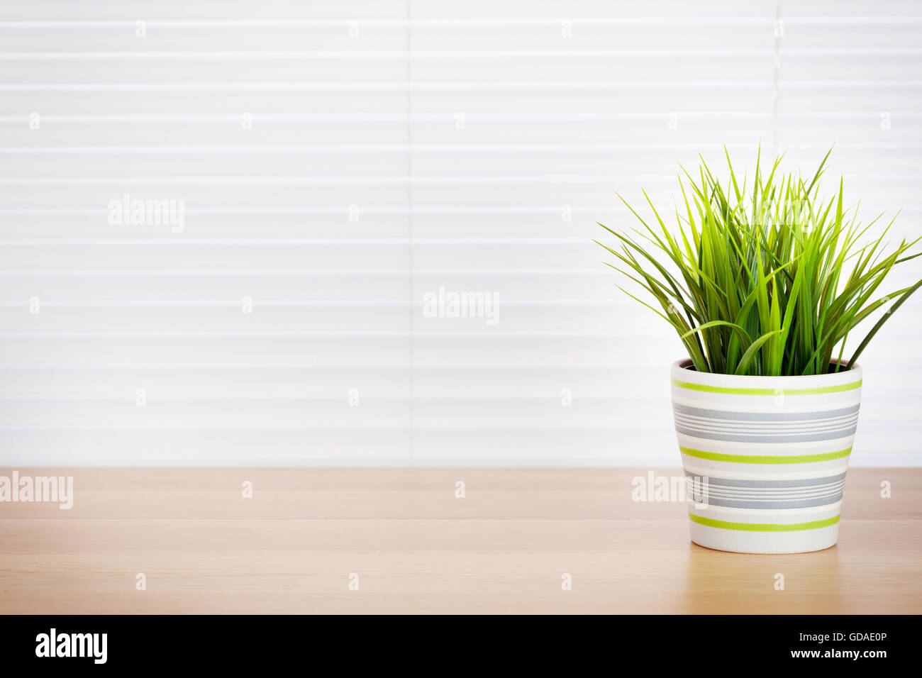 Office workplace with potted plant on wood desk table in front of window with blinds Stock Photo