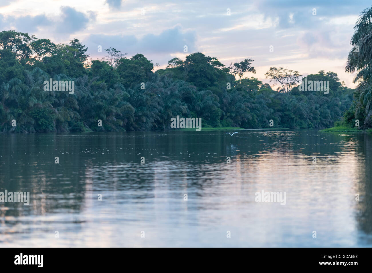 Costa Rica, Limón, Tortuguero, Tortuguero National Park, evening silence in Tortuguero National Park Stock Photo