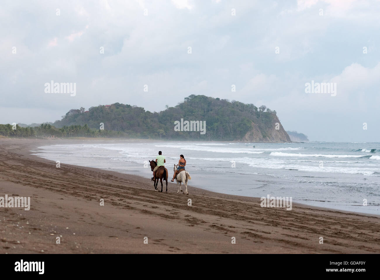 Costa Rica Guanacaste Sámara Playa Buenavista Horseback