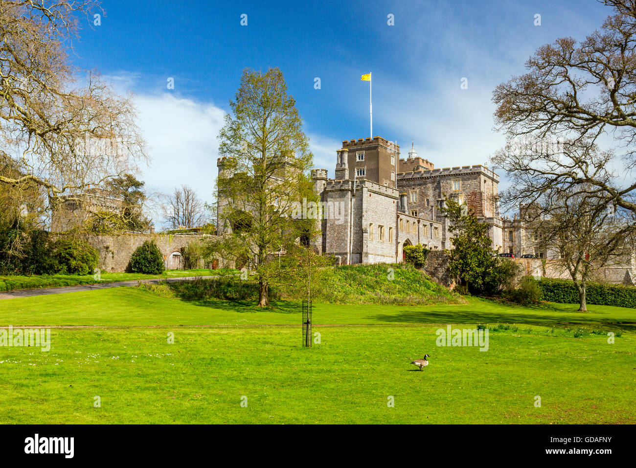 Powderham castle hires stock photography and images Alamy