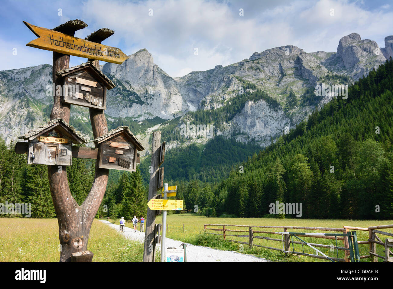 Hochschwab Mountains: Signs to open pastures before the mountains of the Hochschwab mountain range, Austria, Steiermark, Styria, Stock Photo