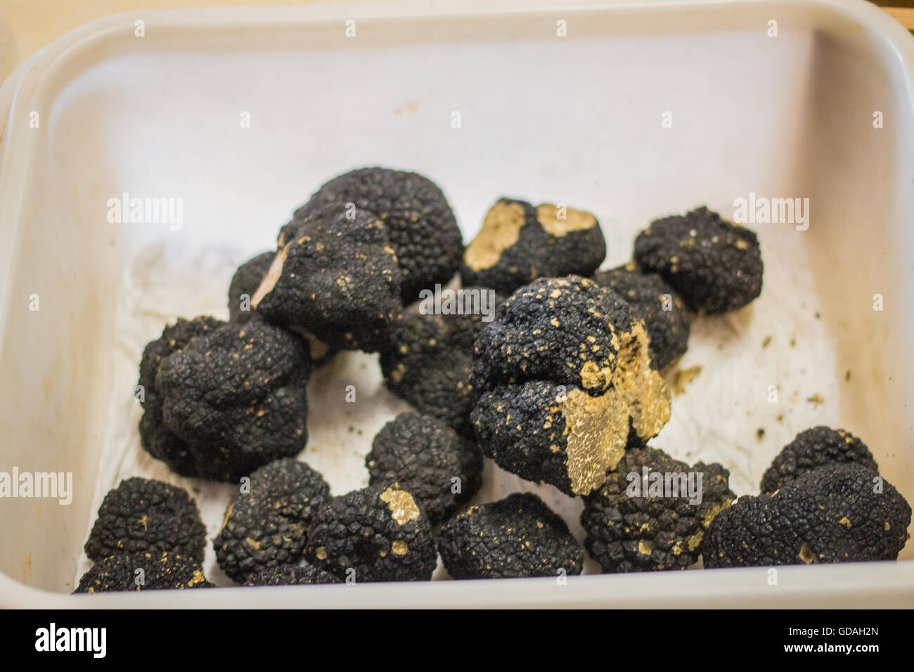 Several Black truffles in a plastic container Stock Photo