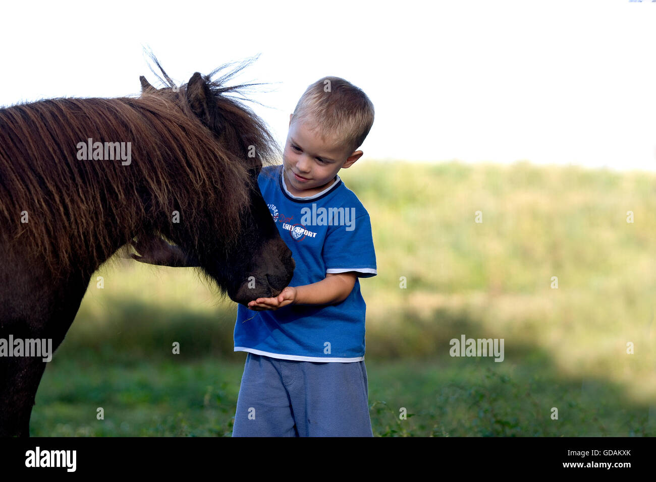 Boy with Falabella Pony, Normandy Stock Photo