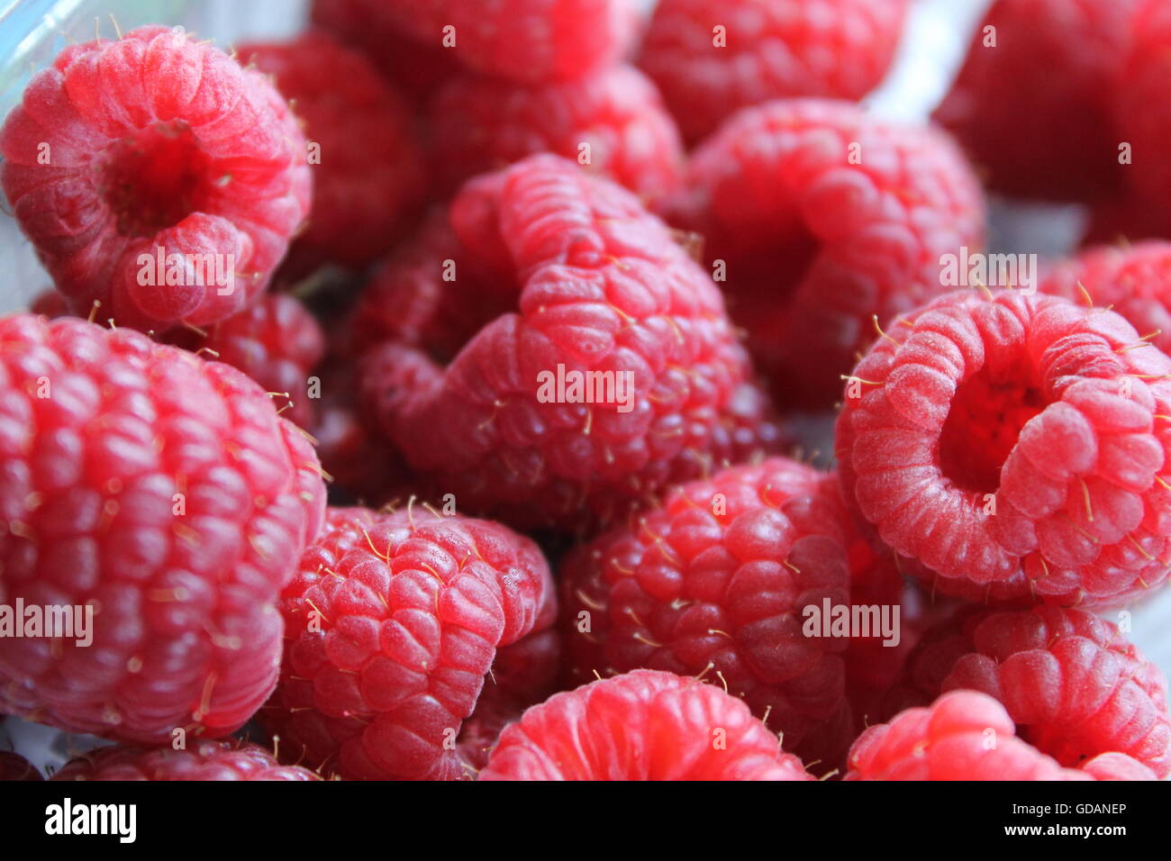 Raspberry, raspberries, fruit, healthy eating, diet, jam making, preserves, summer, genus rubus, allotment Stock Photo