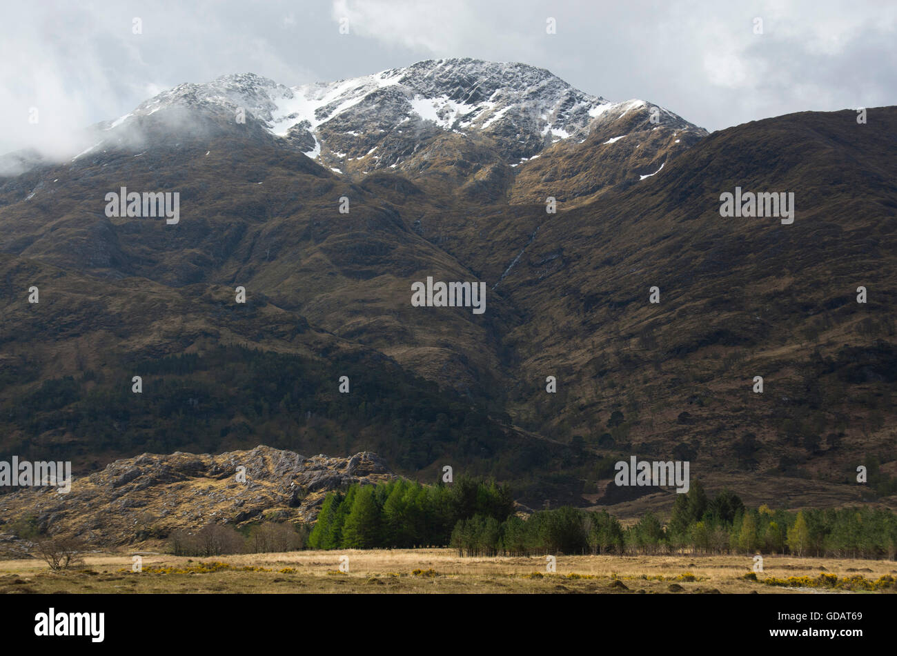 Scotland,Great Britain,west coast,Barrisdale,mountain,Ladhar Beinn,cape Wrath Trail,spring Stock Photo