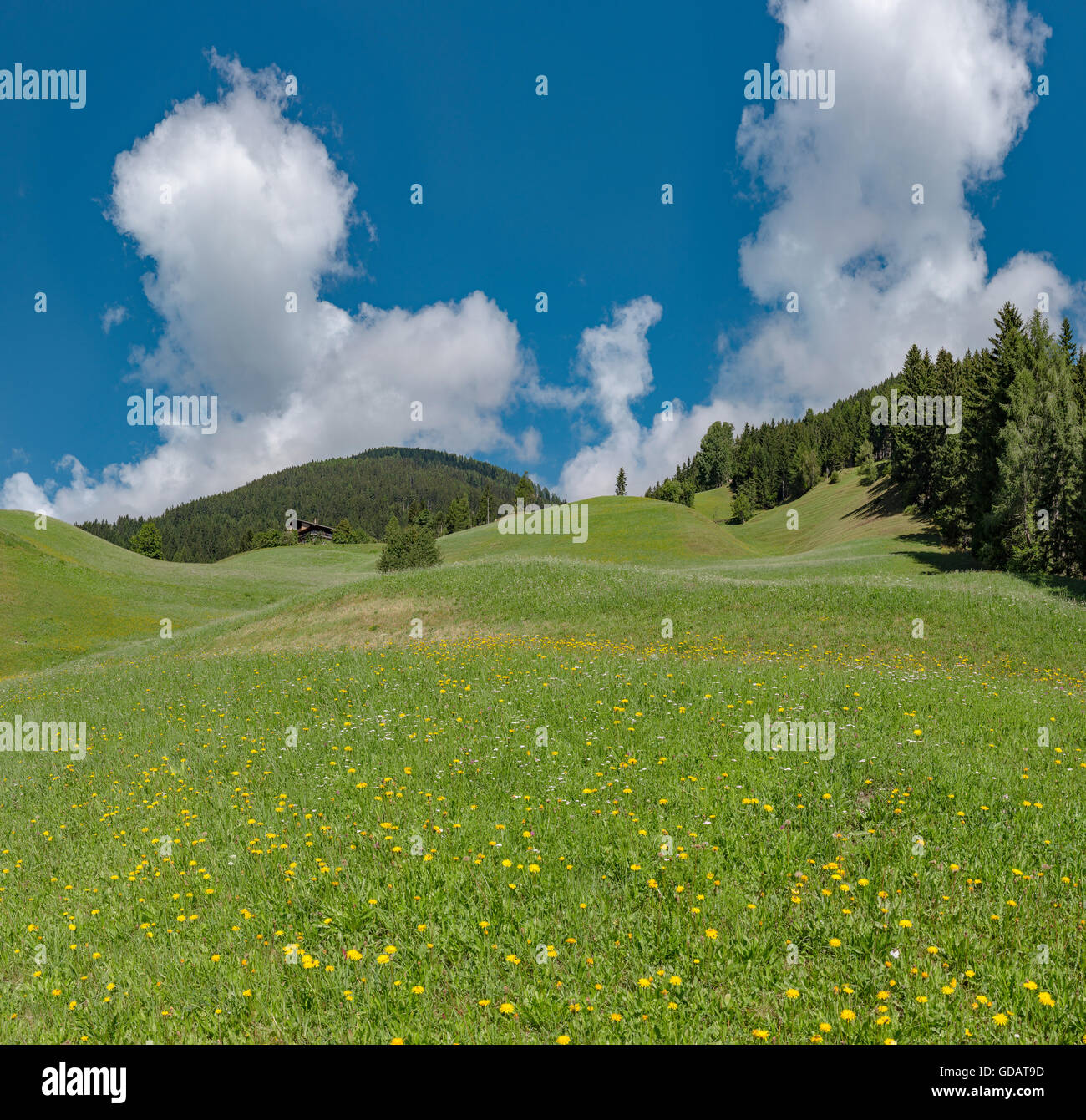 Sillian,Austria,Rolling hills at the mount Sillianberg Stock Photo
