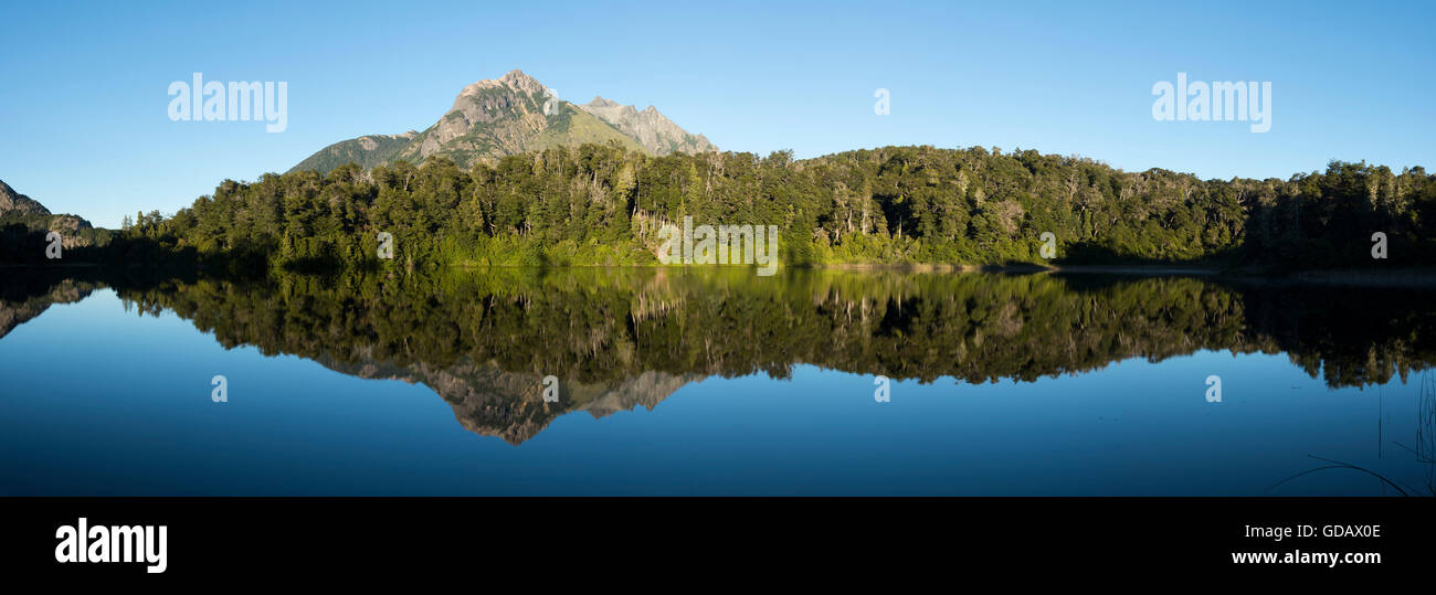 South America,Argentina,Patagonia,Rio Negro,Nahuel Huapi,National Park,Lago Escondido Stock Photo