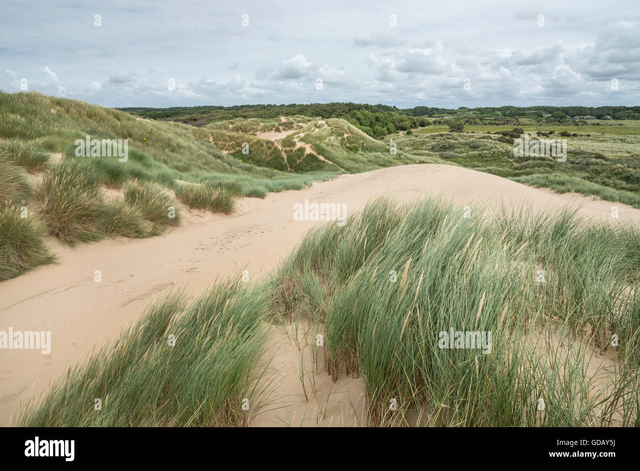 The expansive dunes at Formby point on the coast of Merseyside. Stock Photo
