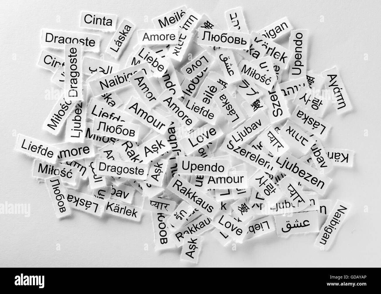 Love Word Cloud printed on paper different languages Stock Photo Alamy