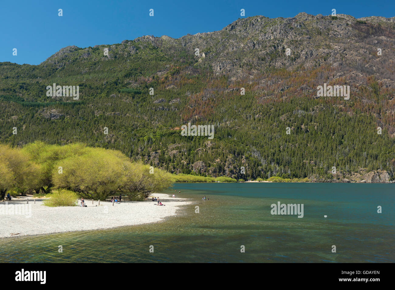 South America,Argentina,Patagonia,Chubut,Lago Puelo Stock Photo