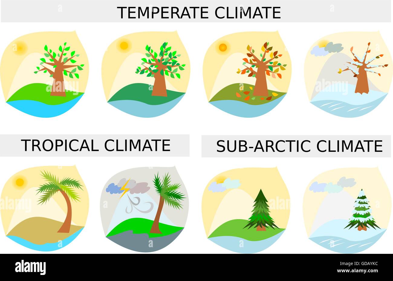 Seasons illustrations - various climate types in vector format Stock Vector