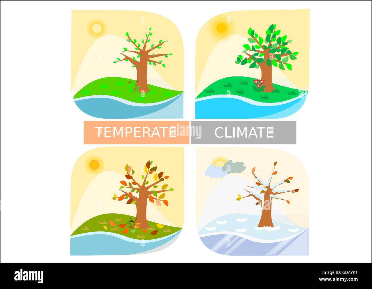 Illustrations for temperate climate weather - four seasons Stock Vector