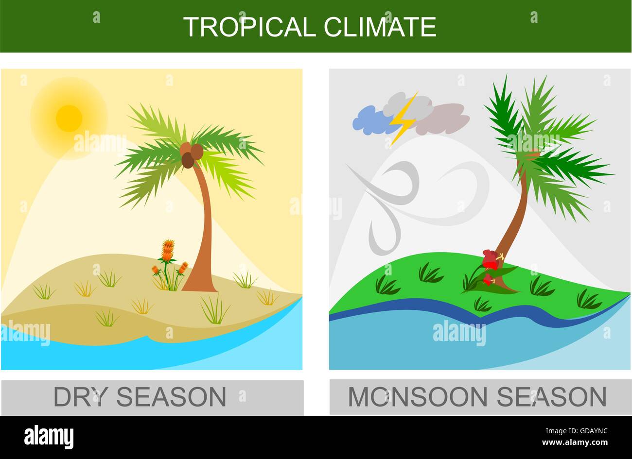 Square dry season and monsoon season tropical weather illustration icon