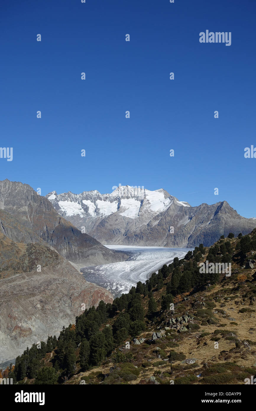 Switzerland,Europe,Valais,Bettmeralp,mountains,autumn,glacier,Aletsch glacier Stock Photo