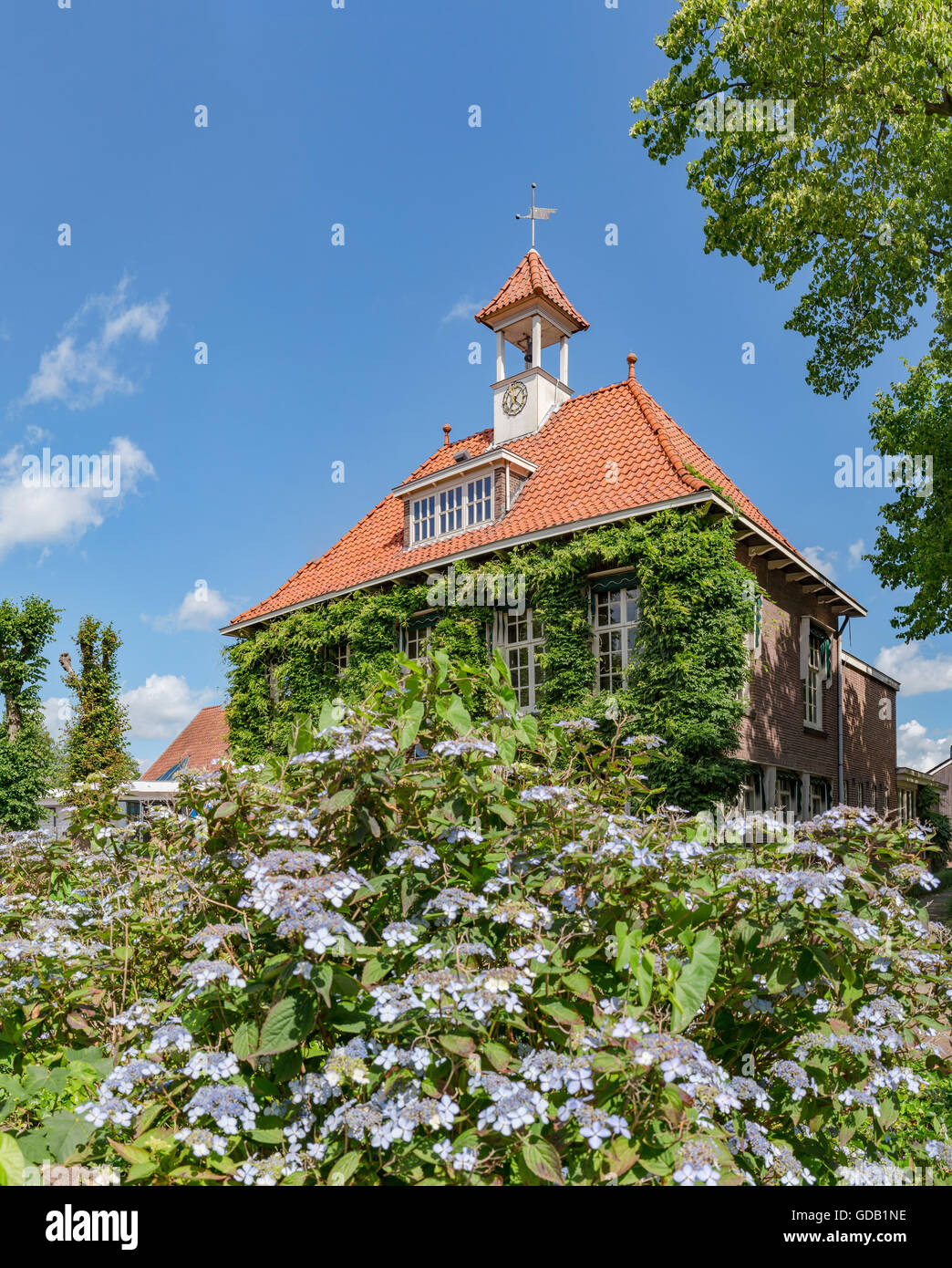 Peize,Drenthe,Special building,front covered with climbing plant,bell tower with clock Stock Photo