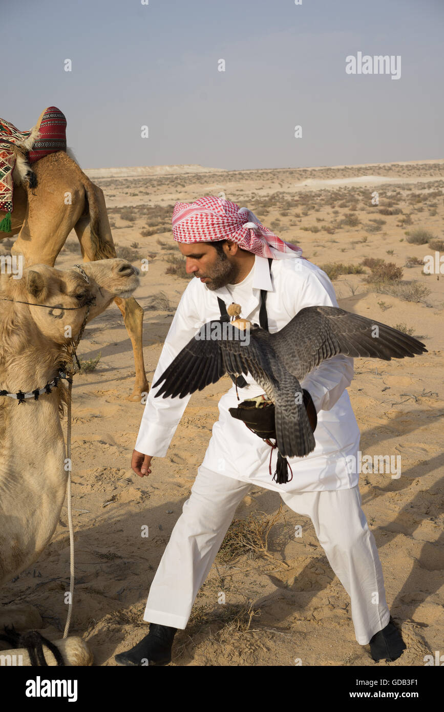 A hunter with his falcon during the Al Galayel Hunting Festival in Qatar.  The annual event pits teams of hunters against one another using  traditional Arab hunting techniques Stock Photo - Alamy