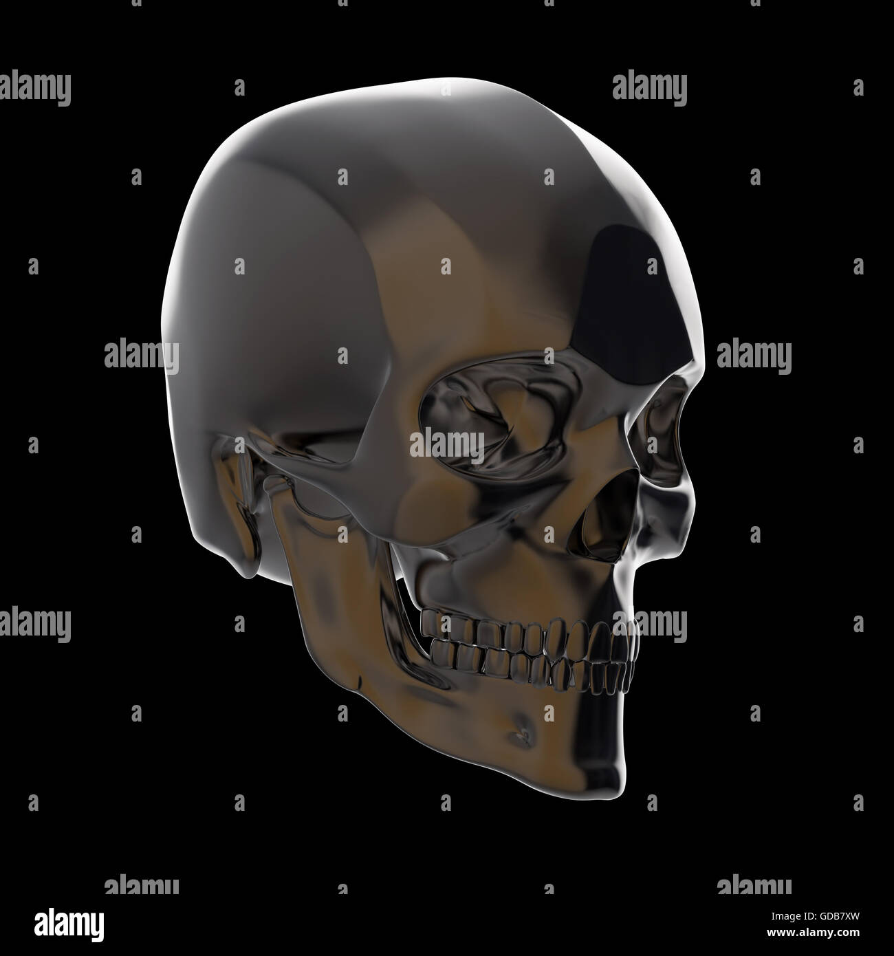 dark shiny polished metal skull render isolated on black background s Stock Photo