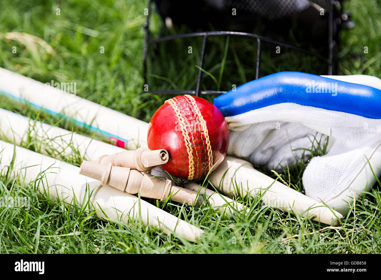 Play Ground Grass Cricket Equipment Ball, Bails, Gloves , Helmet, Stumps Stock Photo